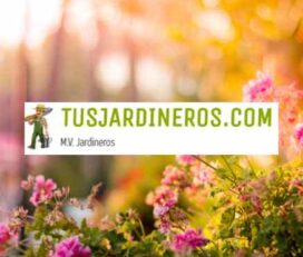 TusJardineros.com